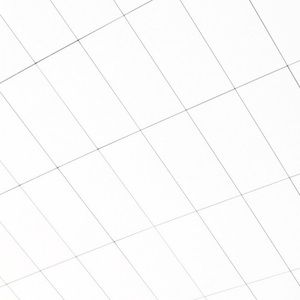 Meet your Posher, Sunny